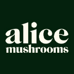 Alice Mushrooms